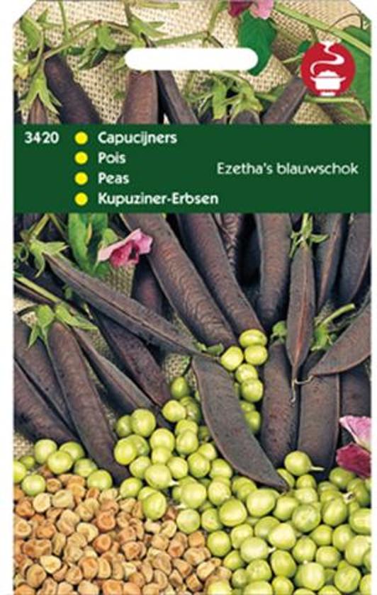Kapuzinererbse Ezetha Blauwschokker (Pisum) 100 Gramme 400 Samen